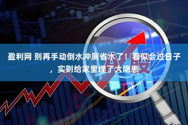 盈利网 别再手动倒水冲厕省水了！看似会过日子，实则给家里埋了大隐患